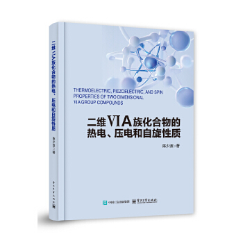  二维VIA族化合物的热电、压电和自旋性质