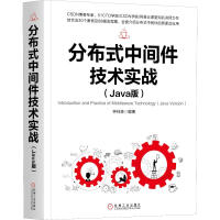 分布式中间件技术实战