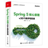 Spring5核心原理与个类手写实战