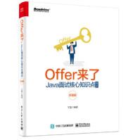 Offer来了：Java面试核心知识点精讲王磊出版