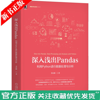深入浅出Pandas利用Python进行数据处理与分析李庆辉互联网大数据云计算数据分析