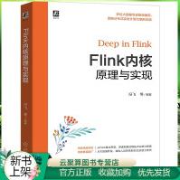 全新新书Flink内核原理与实现冯飞Flink大数据内核原理优化运维洞悉