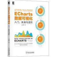 ECharts数据可视化入门、实战与进阶