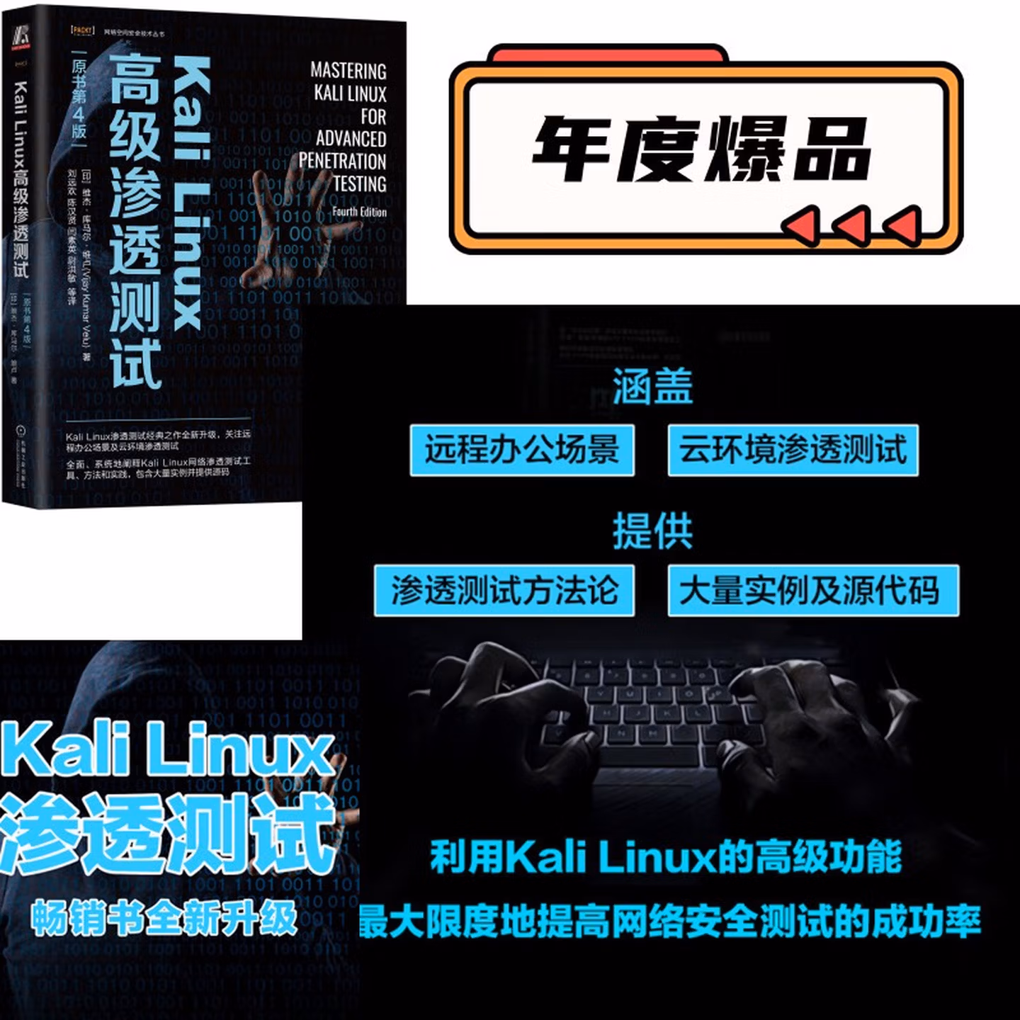 Kali Linux高级渗透测试（原书第4版）