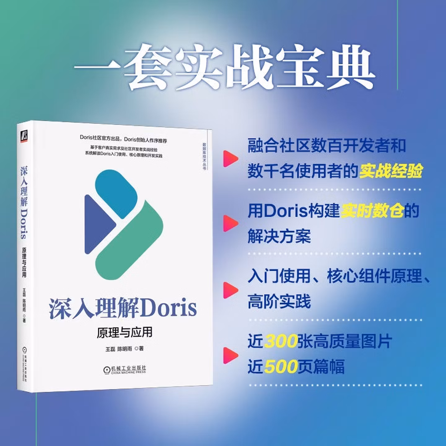 深入理解Doris：原理与应用 数据库 数据仓库 数仓 数据湖 大数据