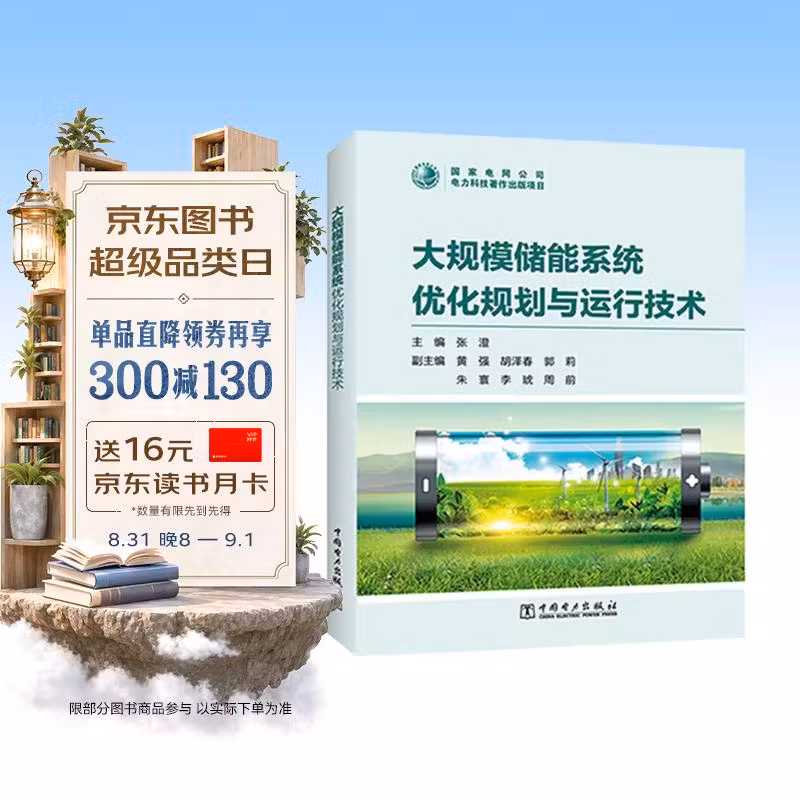 大规模储能系统优化规划与运行技术